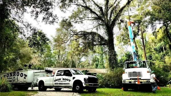 Iron Root Tree Service