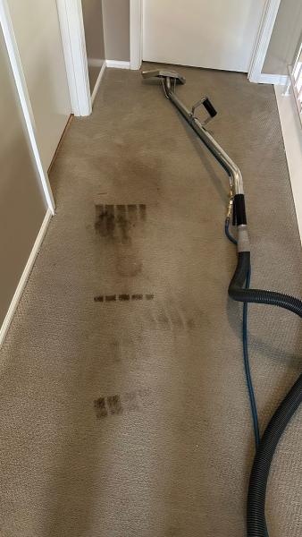 VR Green Cleaning
