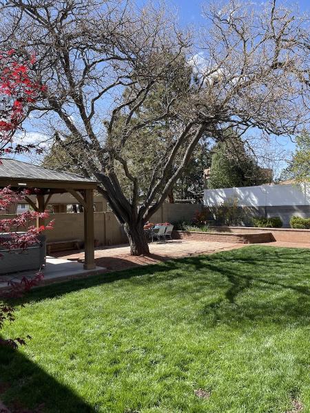 Kiki's Tree Services