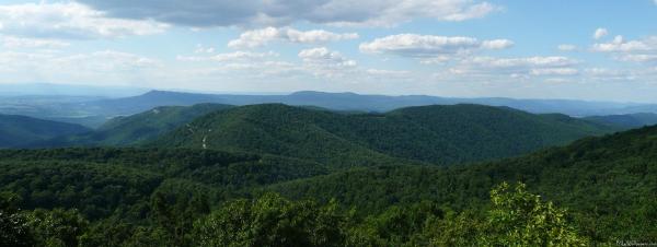 Appalachian Surveying Consultants