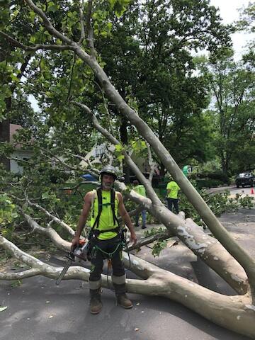 Right Way Tree & Outdoor Services