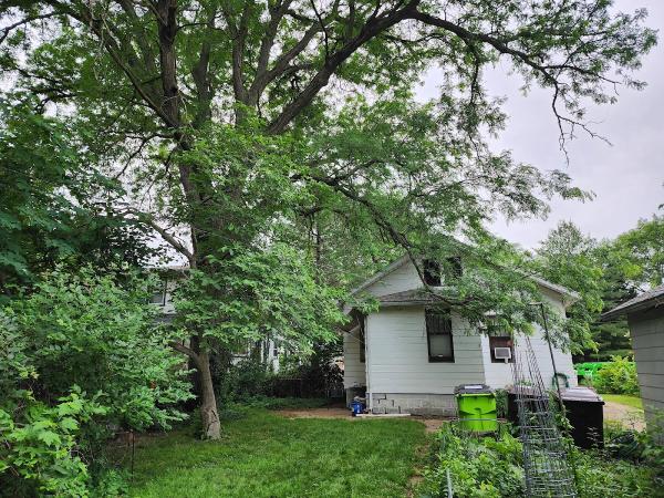 Right Way Tree & Outdoor Services