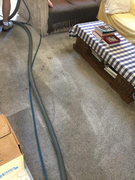 Ever/Ready Carpet Cleaning