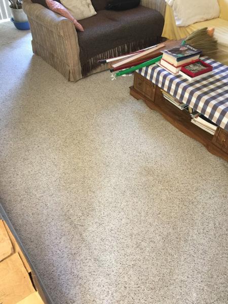 Ever/Ready Carpet Cleaning