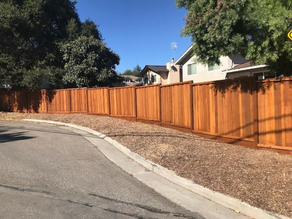 The Fence Man