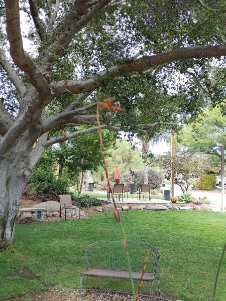 Rancho Valhalla Nursery