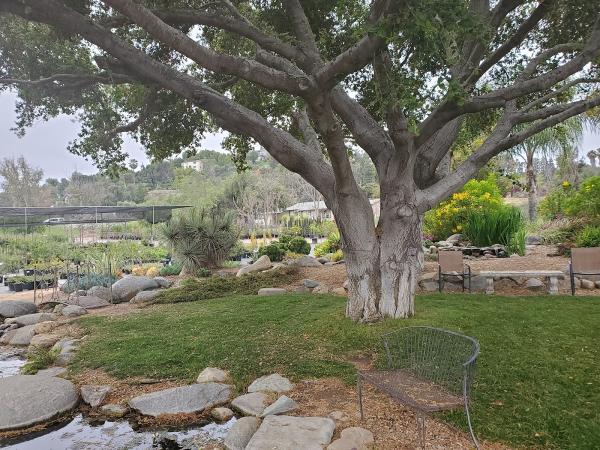 Rancho Valhalla Nursery