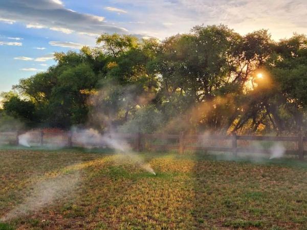 Bednarik Sprinklers