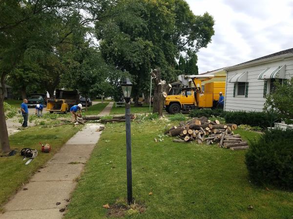 D & D Tree Service Inc
