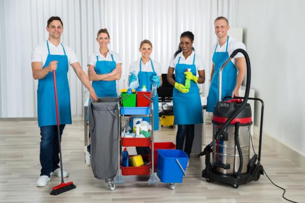 Blueant Cleaning Services