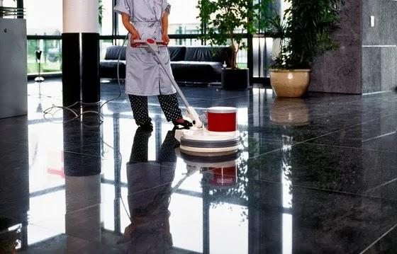 Blueant Cleaning Services
