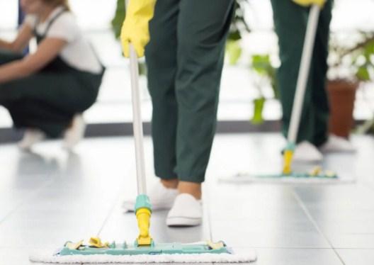 Blueant Cleaning Services