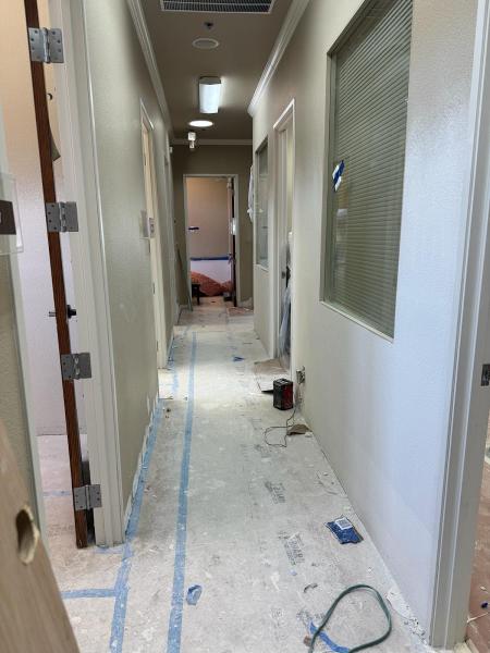 Dallas Paints