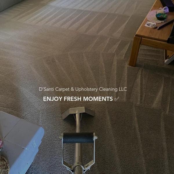 D'Santi Carpet & Upholstery Cleaning LLC