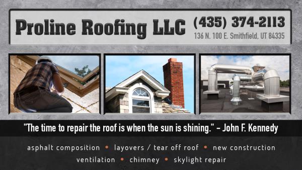Proline Roofing LLC