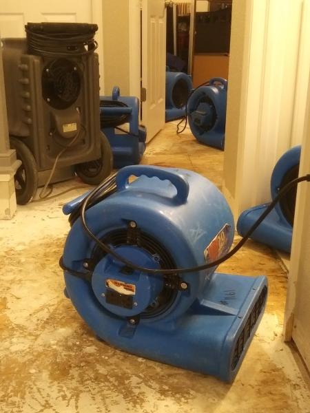 Tier 1 Restorations