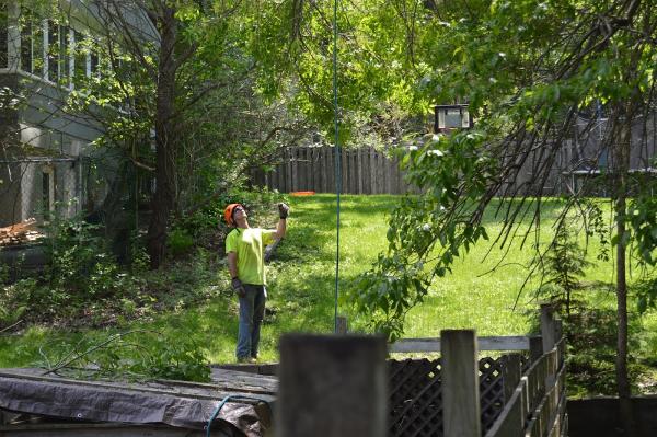 Huston's Tree Service