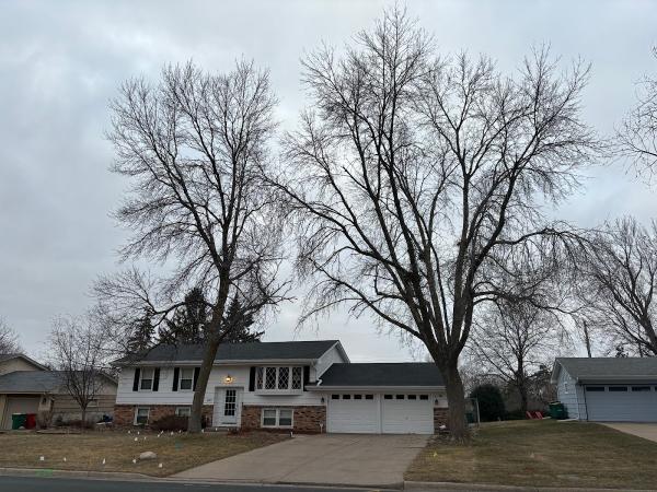 Huston's Tree Service