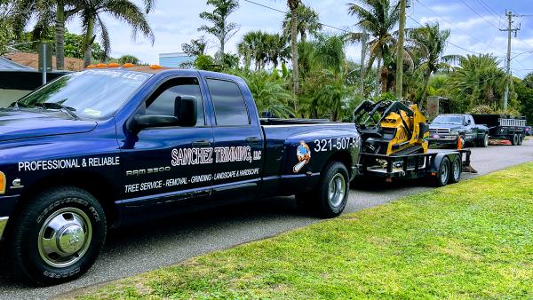Sanchez Trimming Tree Service