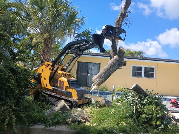 Sanchez Trimming Tree Service