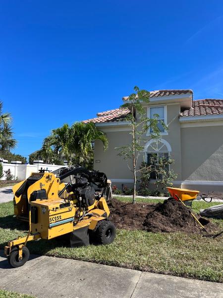 Sanchez Trimming Tree Service