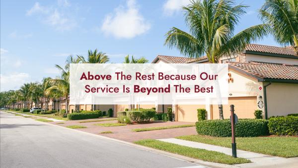 Above and Beyond Pest Control