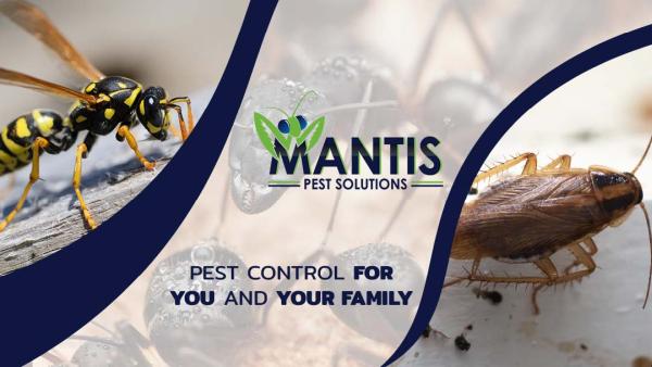 Mantis Pest Solution
