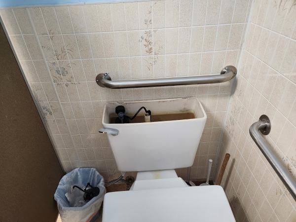 Drain Detectives