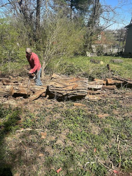 Billy Hummer's Tree Service & Stump Grinding