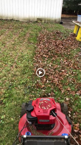 M Linton Lawn Care Service