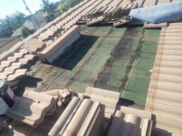 EAM Roofing LLC