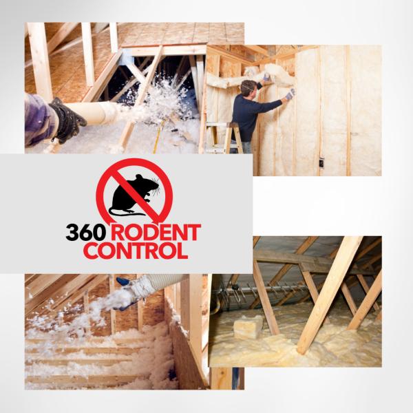 360 Rodent Control