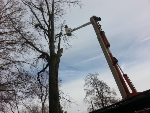 Sky High Tree Service Llc