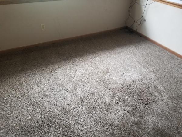 Certified Precision Carpet Cleaning
