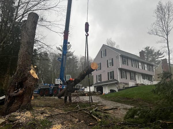 Turcotte Tree Service