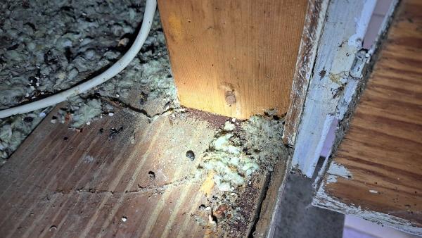 Dunrite Pest and Termite LLC