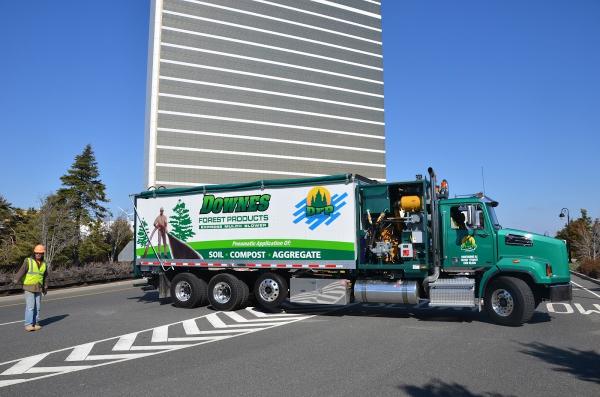 Downes Tree Service