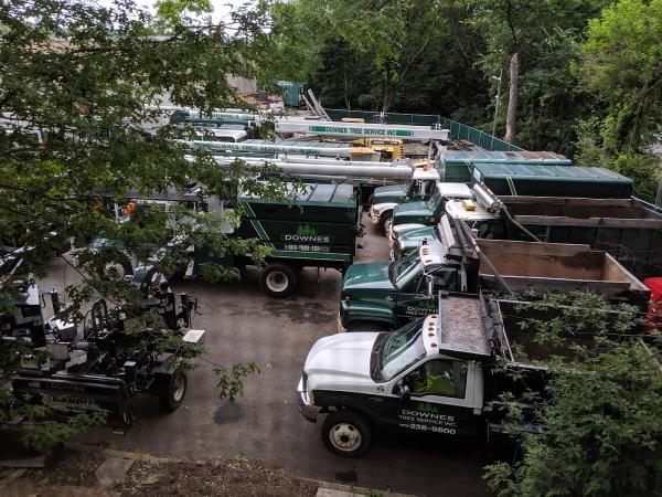Downes Tree Service