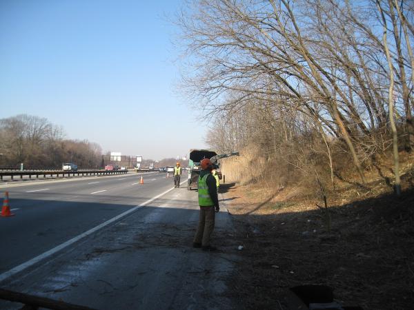 Downes Tree Service