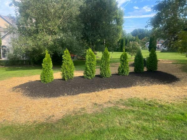 Evans Lawn Services