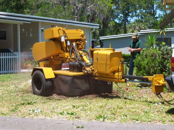 ACE Tree Service
