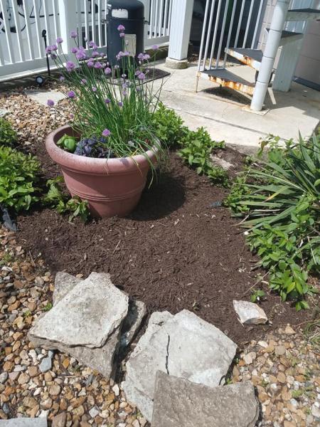 Express Mulch Co