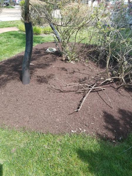 Express Mulch Co