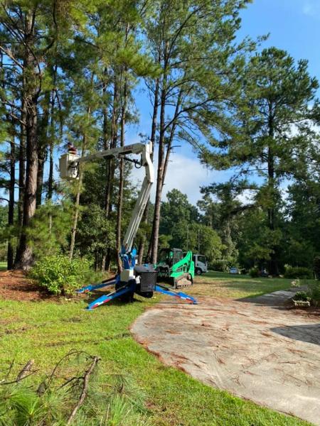 Gatorland Tree Service
