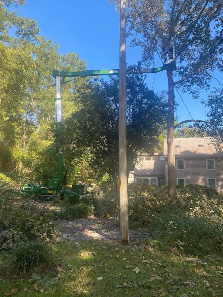 Gatorland Tree Service