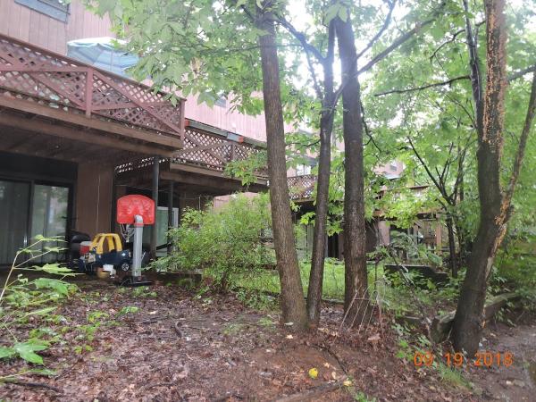 Amboy Tree Service