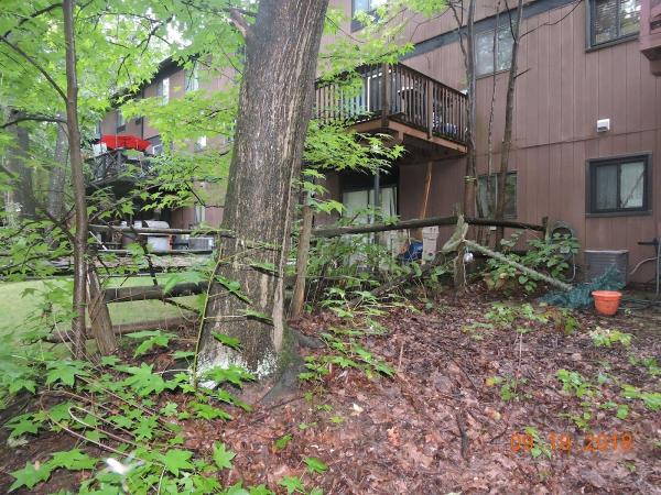 Amboy Tree Service