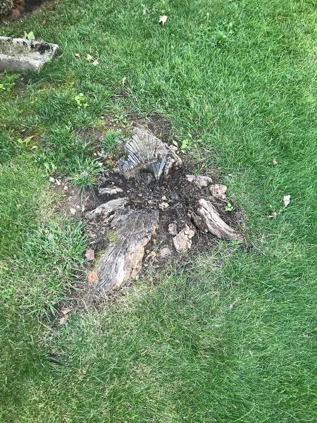 Amboy Tree Service