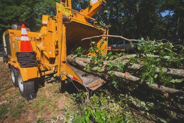 Birmingham Tree Service