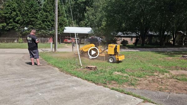 Lytle's Stump Grinding